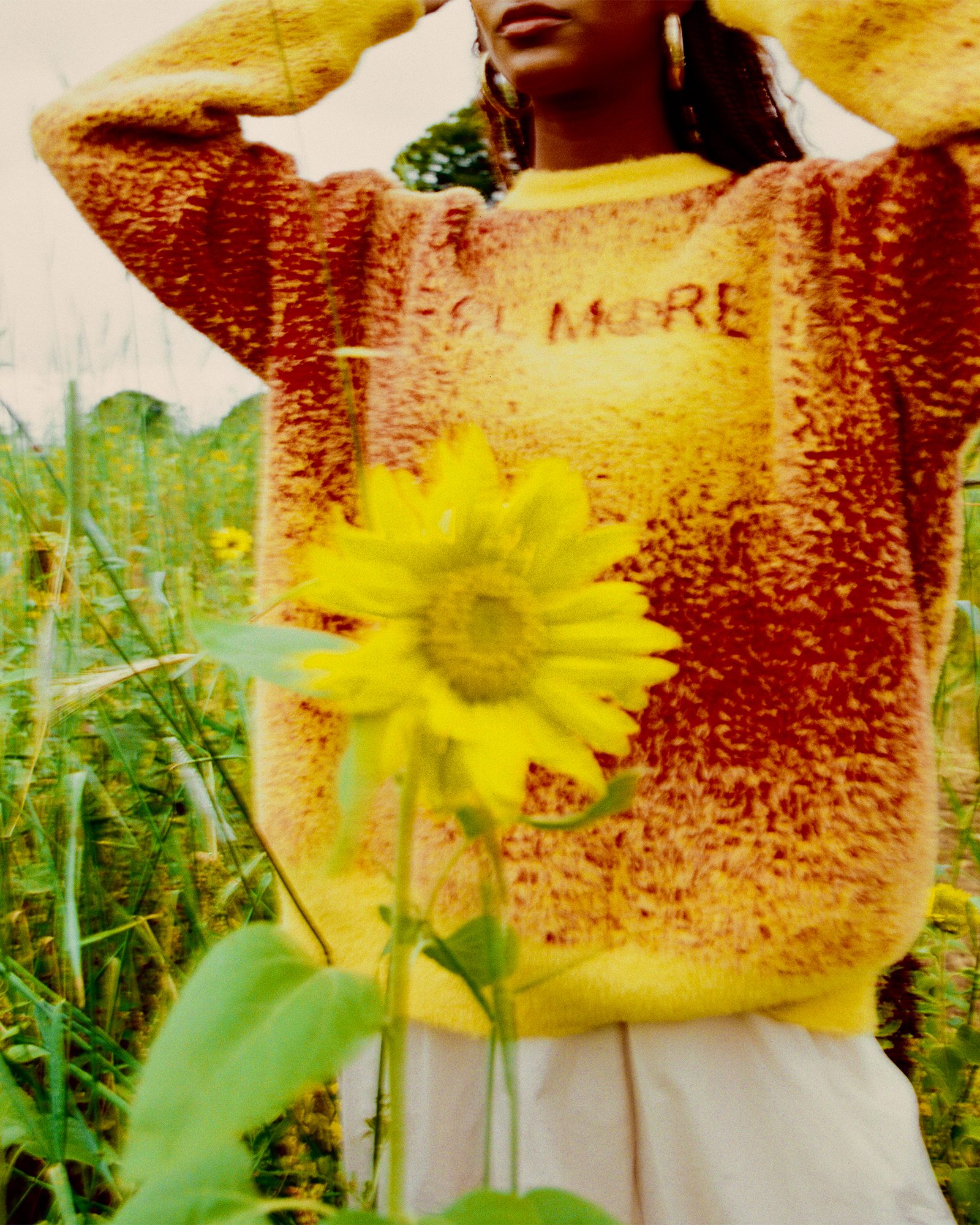 Untitled-1_0004_IMG_3778